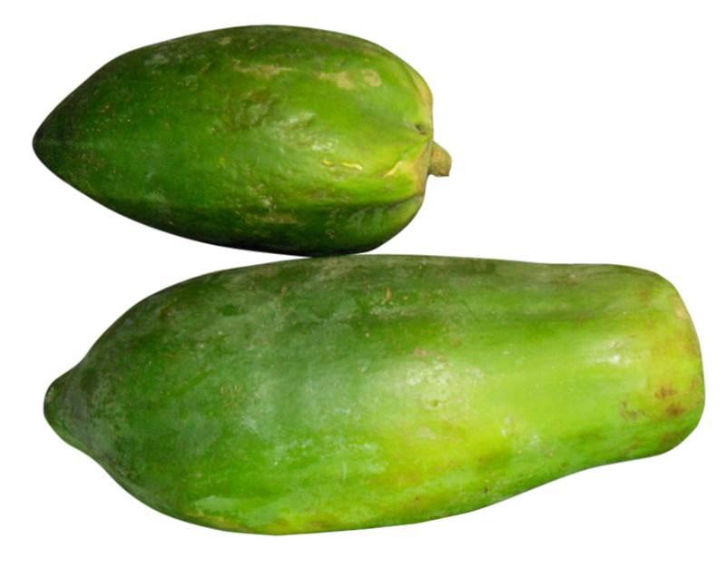 green papaya images, green papaya png, green papaya png image, green papaya transparent png image, green papaya png full hd images download